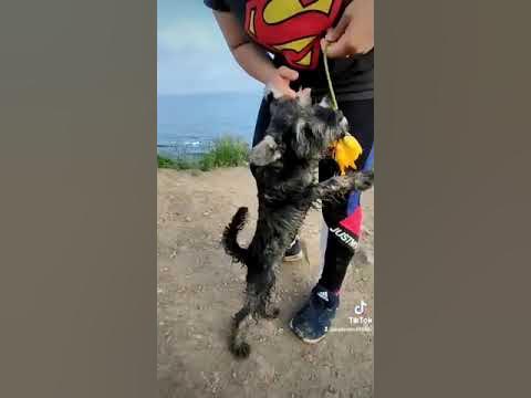 вот такая маленькая шкодница )) - YouTube