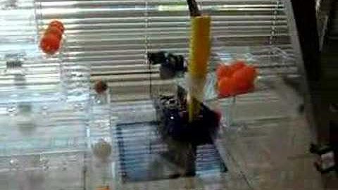 MAE 3 Robot-Cheese Grater