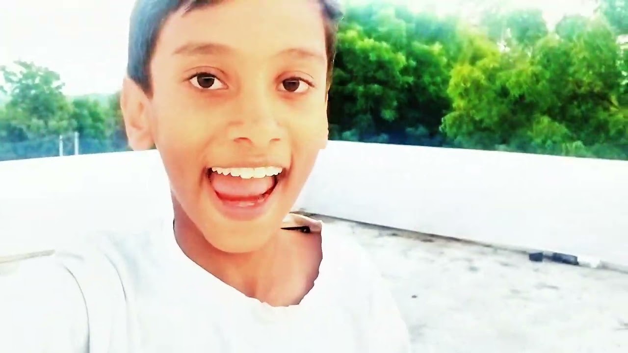 Makar Sankranti 🪁 