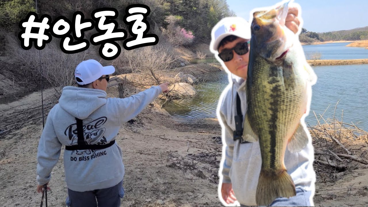 봄배스낚시 안동호 런커 이런 곳에 캐스팅하세요 BassFishing EP122