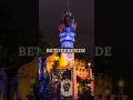 Wist je dat? De Asters van Elisa | De Zes Zwanen | #efteling #funfacts #sprookjesbos