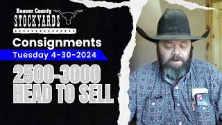 4/29/2024 Consignments - Beaver County Stockyards by Bluestem Digital Ag 137 views 1 month ago 1 minute, 9 seconds