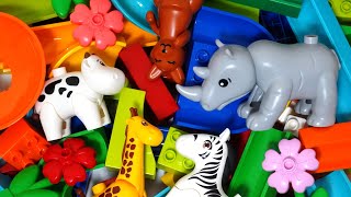 Satisfying Building Blocks So cute! A block coaster with various animals and a large tunnel!