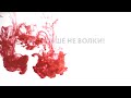 Улыбнемся... 2023 На YouTube канале Google #news #новости #ukraine #россия #putin #shorts