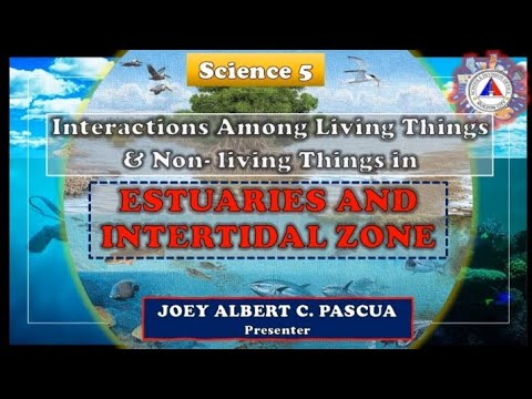 Science 5: Interactions among living things & non living things in ...