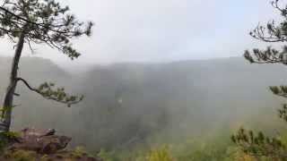 Morning Fog Burns Off In The Pennsylvania Grand Canyon By Curt Weinhold Www.pbase.comcwphoto