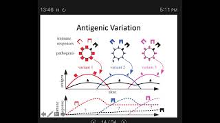 Mechanisms of Pathogenicity 3: Evading Defences