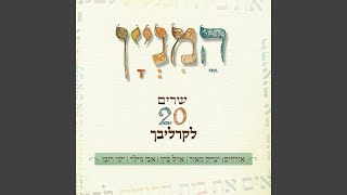 Video thumbnail of "Yitzchak Meir - לולי תורתך"