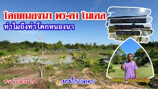 โคกหนองนาพ่อสมพร | เกษตรผสมผสาน | บ่าวยุทธพาจ้วด | นาเชือก