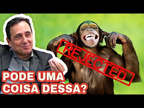 Vídeo: A Comparação Dos Genomas De Cães E Lobos Da Vila Destaca O Papel Da Crista Neural Na Domesticação De Cães