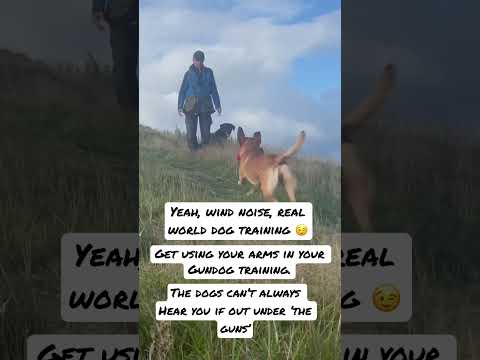 Video: Mastering Dog Training Hand Signals