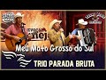 Meu Mato Grosso do Sul - TRIO PARADA BRUTA