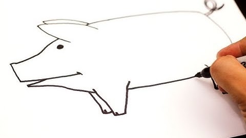 How To Draw A Pig