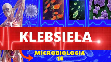 O que é Klebsiella pneumoniae na urina?