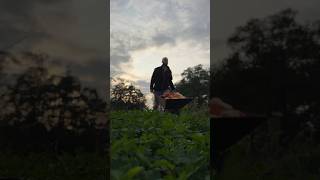 Czy praca zdalna jest dla każdego? #pracazdalna #programista #programowanie