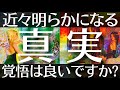 【準備は良いですか？】まもなくとんでもない真実を知ることになります💥タロットルノルマンオラクルカードで細密深掘りリーディング🍀