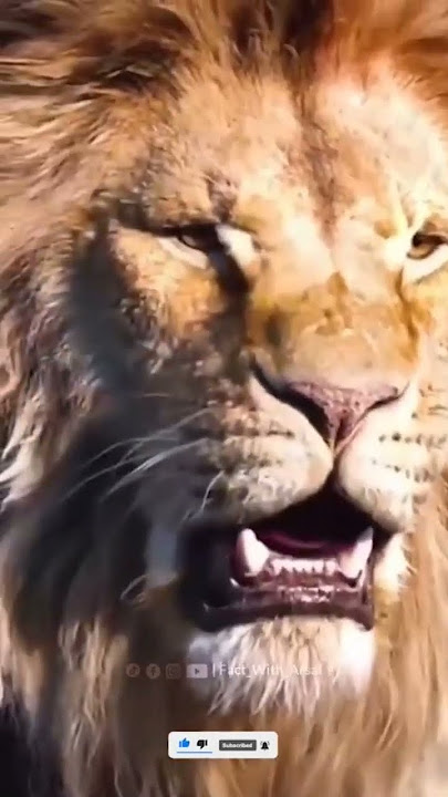 Animal voices in movies and in real #factwitharsal #Animal #movies #realAnimals #realvoice