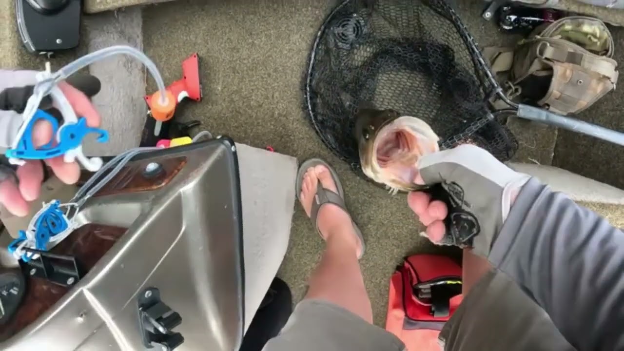 9-14-24 Bass fishing Burnt Mills Tournament