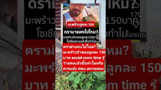 remix dj edm  sound colonelkkj duet army farmlife automobile