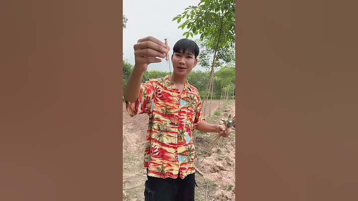 จุดบั้งไฟเล่น ชื้อมาไว้ 2ปี