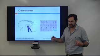 Nucleotides, Chromosomes, and Haplotypes... Oh My!