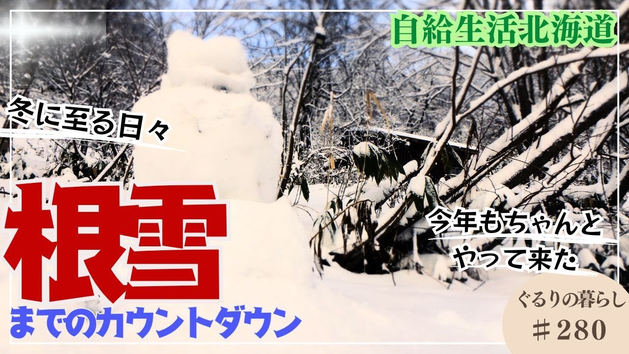 本気の冬到来【豪雪地帯】