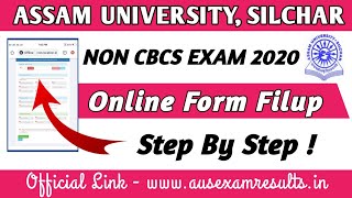 Assam University Non CBCS Exam Form Fill-up ! Step By Step ! Tdc 2nd, 4th & 6th Sem ! 2020