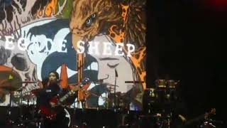 Download Lagu [Penonton Moshing brutal] Renegade Sheep (VoB) at Student Nite Fest UI Depok  MP3