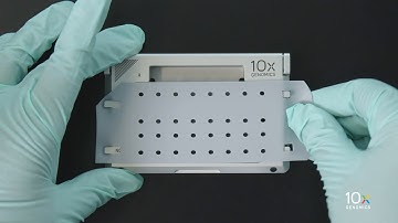 Single Cell Gene Expression LT Protocol v3.1 | Assemble Chromium Next GEM Chip L