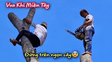 Hồi Hộp !! Vua Khỉ Miền Tây cưa cây tại Thiền Viện Trúc Lâm Chánh Thiện.