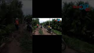 Rute Menantang Dari Pelangiran Ke Beringin Mulya, Inhil G Polll