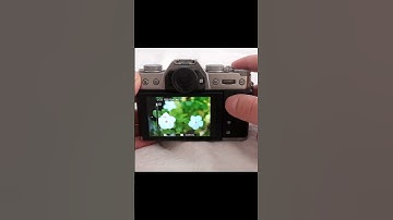 The Camera Histogram: Why is it Important?