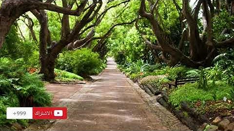 مقطع مؤثر من سورة إبراهيم