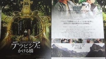 テラビシアにかける橋 (A) (2008) 映画チラシ ジョシュ・ハッチャーソン アナソフィア・ロブ ロバート・パトリック