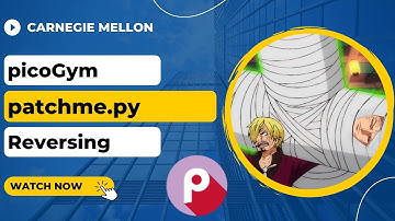 picoGym (picoCTF) Exercise: patchme.py