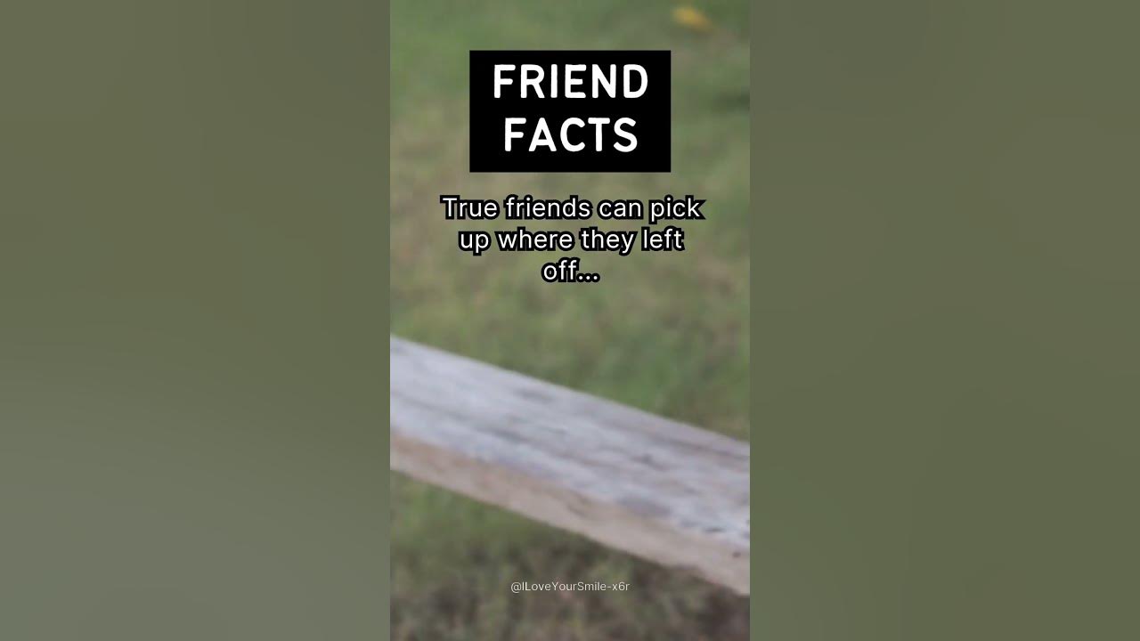 True friends can pick up where they left off... YouTube