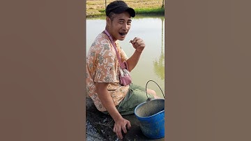 Chàng bắt ốc bưu vàng #Shorts