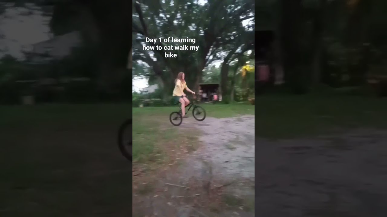 Hmu If U Got Pointer On Cat Walking A Bike New To This So No Hate