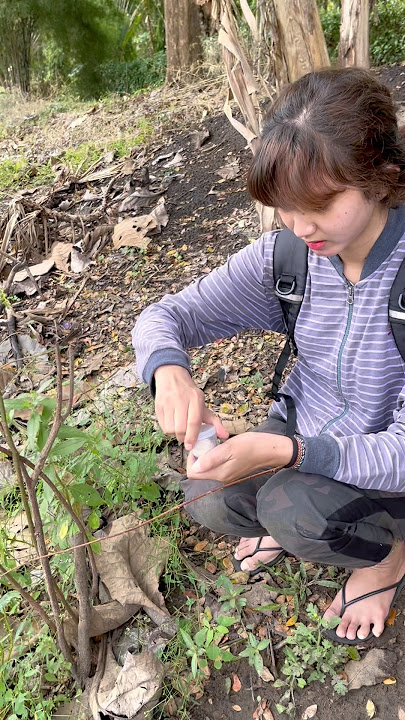 Put glutinous rice on the tree #rural