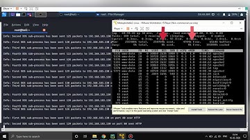 TheDoomsDay - DOS Testing Tool