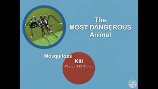 Famous 2016 SGV Mosquito & Vector Control District Public Health Update Wealth