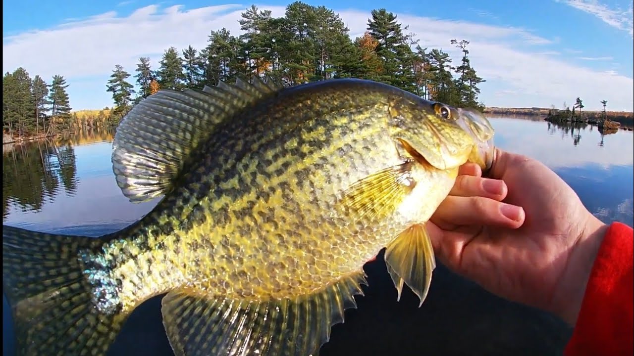 CATCHING A LIMIT, CRAPPIE FISHING
