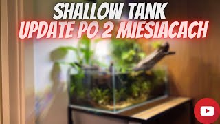 Shallow Tank Po 2 Miesiącach