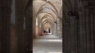 Walk with me inside the Basilica of Saint-Remi