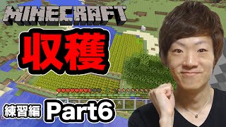【マインクラフト】セイキン夫婦のマイクラ実況！練習編Part6 小麦収穫⇒パン作り！【Minecraft】