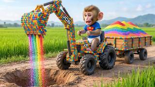 Monkey Nana Drives The Jcb Excavator To Harvest Strawberries & Repair The Broken Farm Road