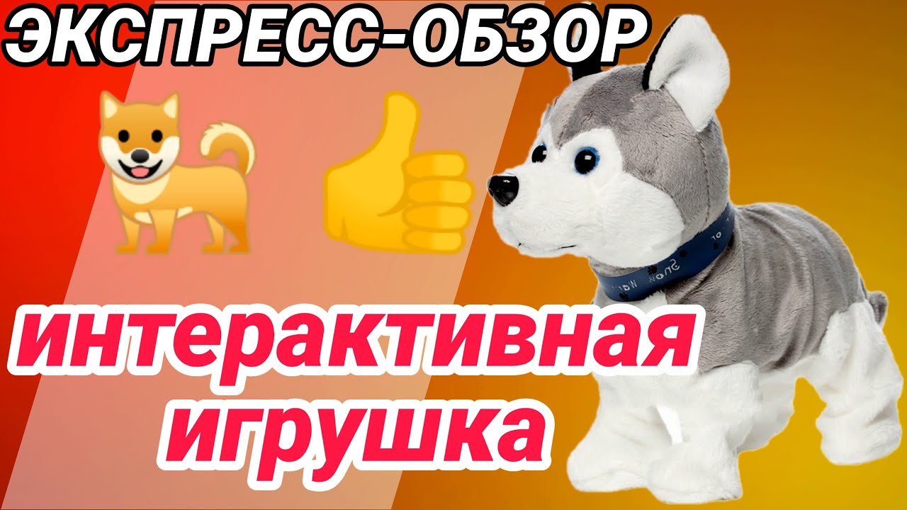 Интерактивная собака для ребенка. Игрушка "Домашнее животное" - YouTube