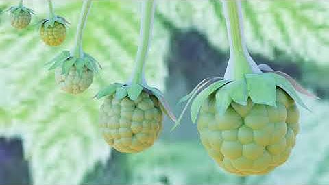 Raspberry - Geometry Node -  Blender - from Bad Normals