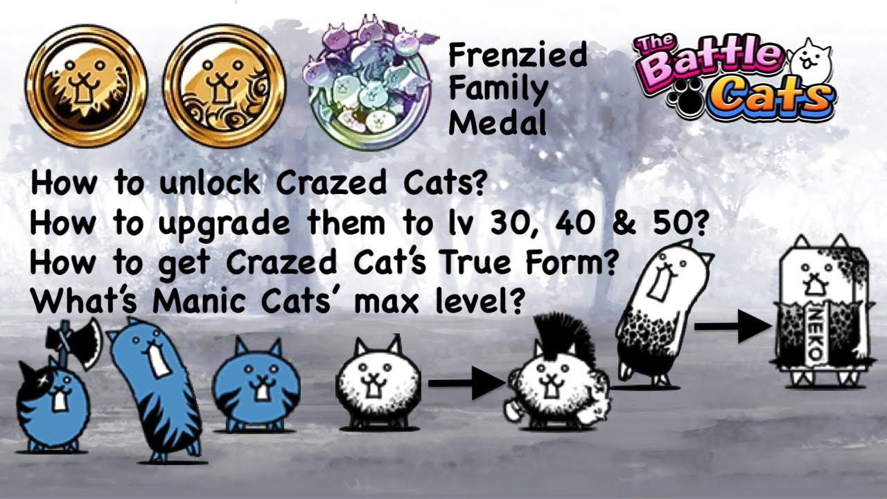 How To Unlock Crazed Cats? How To Upgrade Manic Cats To Level 30, Level 40  & Level 50? - Youtube