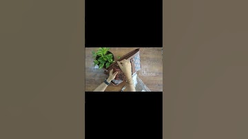 Unboxing the Zouk Office Bag & Paisley Wallet Combo! #baglover #zouk #zoukbag #zoukwallet